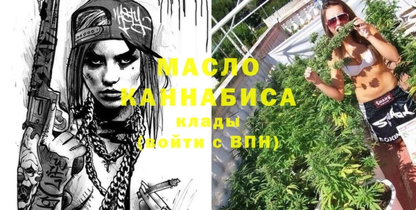 гашик Козельск