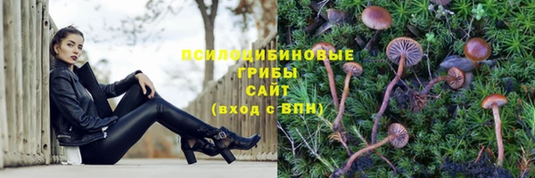 кокаин премиум Козловка
